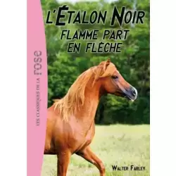 Flamme part en flèche