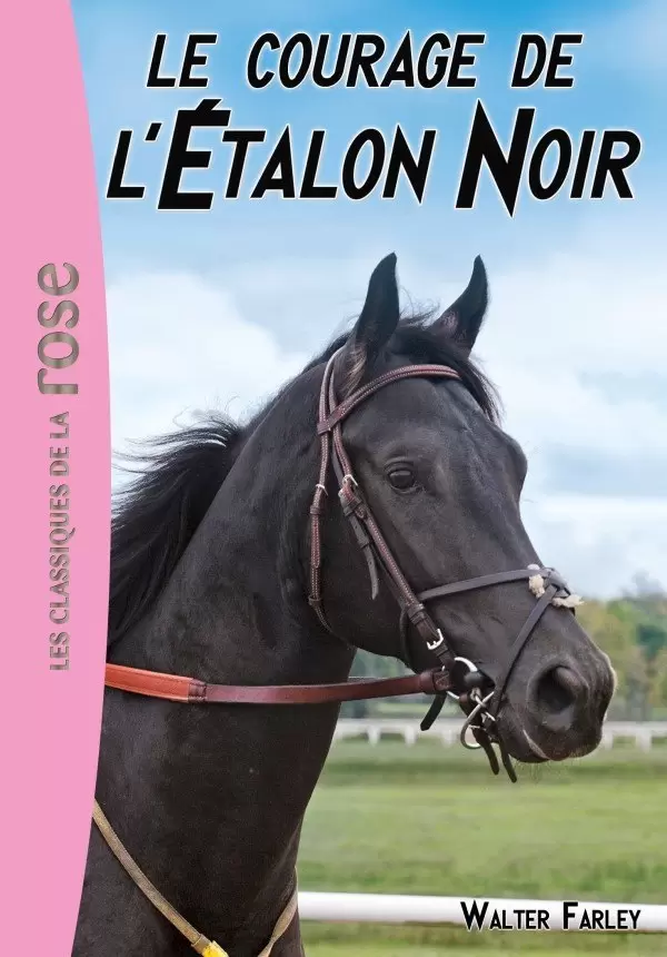 L\'étalon noir - Le courage de l’Etalon Noir