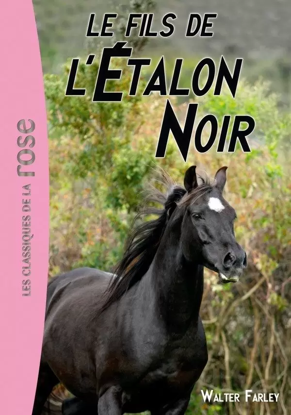 L\'étalon noir - Le fils de l’Étalon Noir