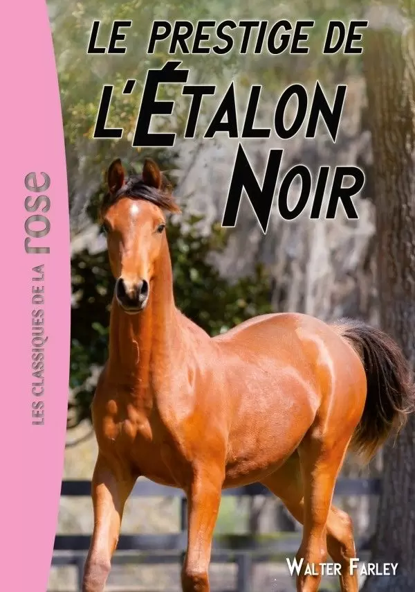 L\'étalon noir - Le prestige de l’Étalon Noir
