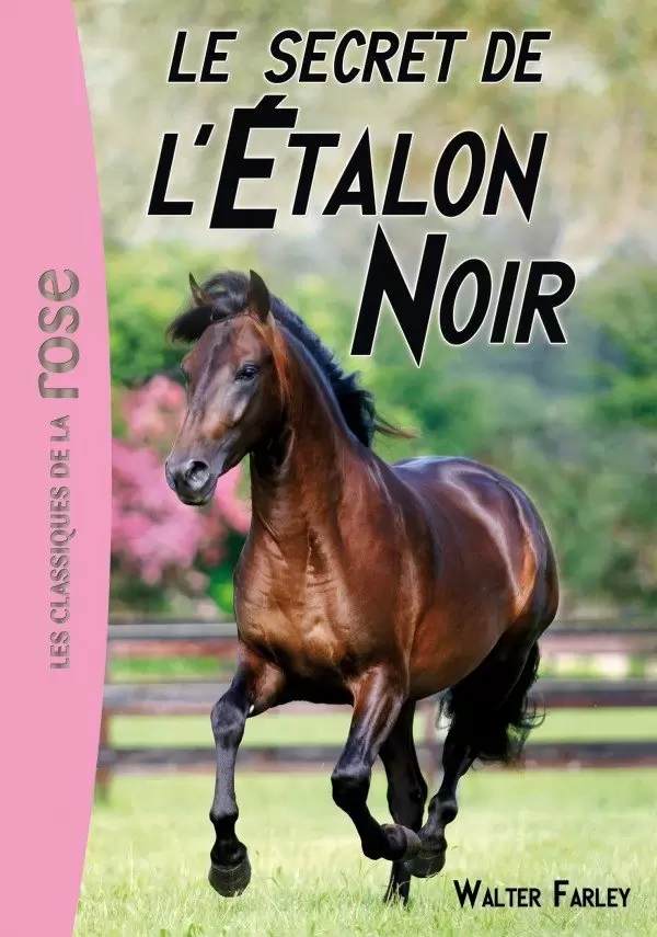 L\'étalon noir - Le secret de l’Étalon Noir
