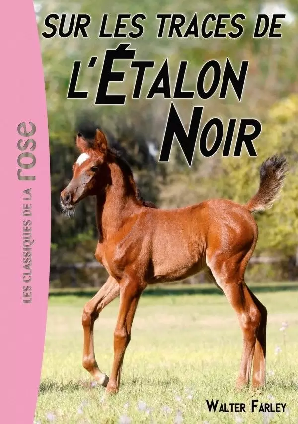 L\'étalon noir - Sur les traces de l’Étalon Noir