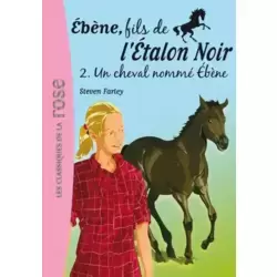 Ebène, Fils de l'étalon noir : Un cheval nommé Ébène