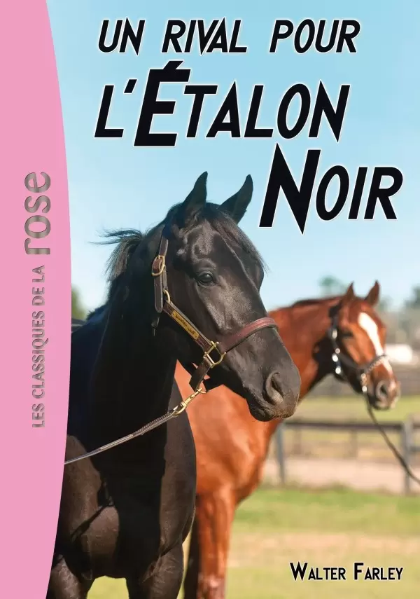 L\'étalon noir - un rival pour l’Etalon Noir