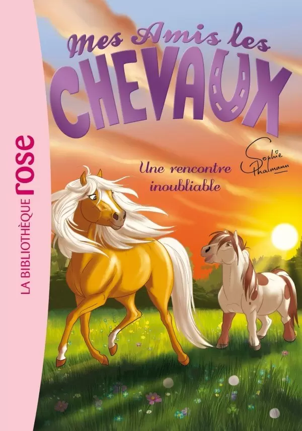 Mes amis les chevaux (Sophie Thalmann) - Une rencontre inoubliable