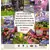Jeux SEGA Saturn - NiGHTS Into Dreams... Sampler