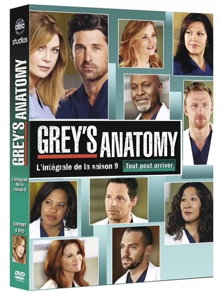 Grey\'s Anatomy - Grey\'s Anatomy - L\'intégrale saison 9 - Coffret 6 DVD