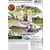 XBOX Games - Brian Lara International Cricket 2005