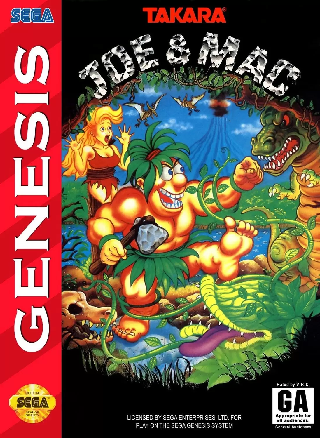 Sega Genesis Games - Joe & Mac
