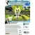XBOX 360 Games - Brian Lara International Cricket 2007