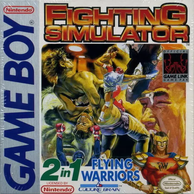 Jeux Game Boy - Fighting Simulator: 2-in-1 Flying Warriors