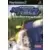 PS2 Games - Tokyo Xtreme Racer Drift