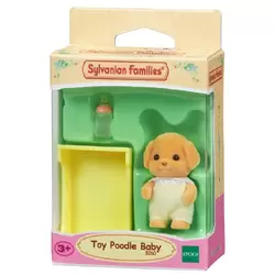 Bébé Caniche Toy Poodle