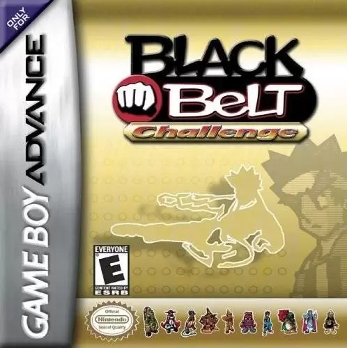Game Boy Advance Games - Black Belt Challenge