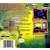 Game Boy Advance Games (GBA) - Earthworm Jim