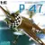 P47 - The Freedom Fighter