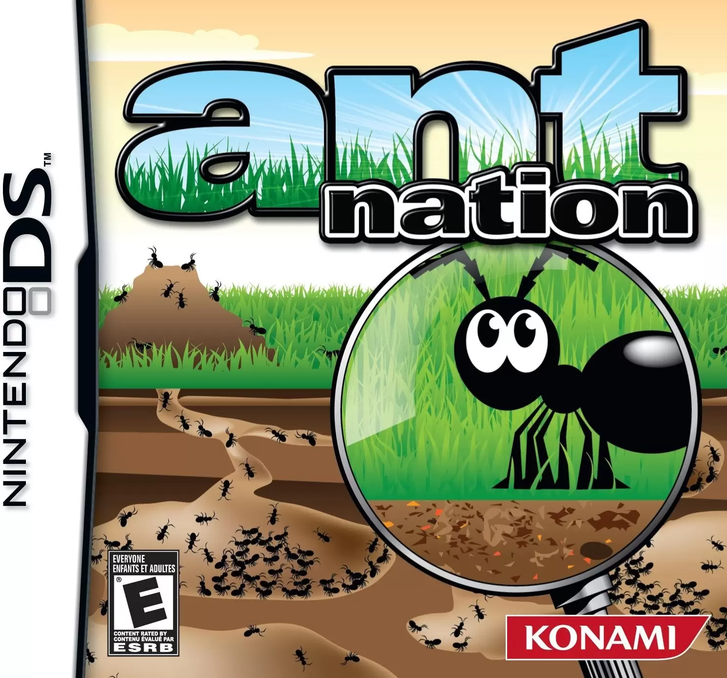 Nintendo DS Games - Ant Nation