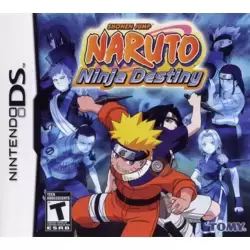 Naruto: Ninja Destiny