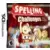 Nintendo DS Games - Spelling Challenges