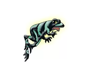 Frogs & Co. - Green and Black poison dart frog