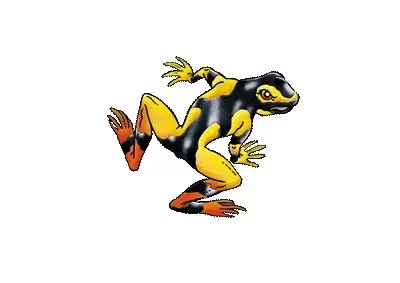 Frogs & Co. - Mantelle de Madagascar