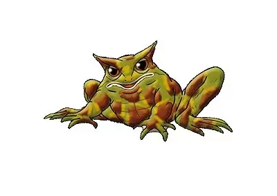 Frogs & Co. - Grenouille Cornue Ornée