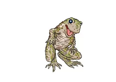 Frogs & Co. - Crapaud Calamite
