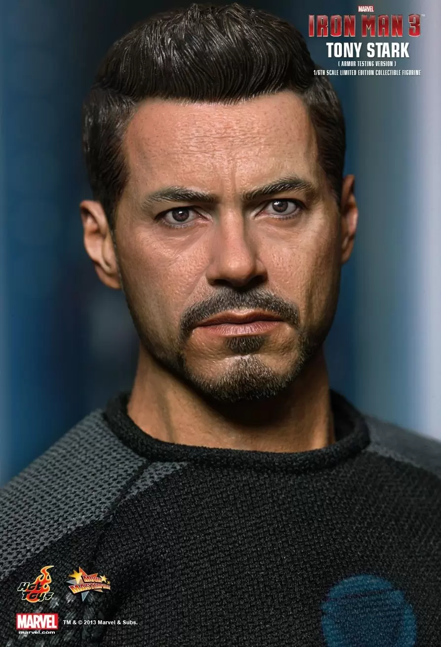 Movie Masterpiece Series - Tony Stark