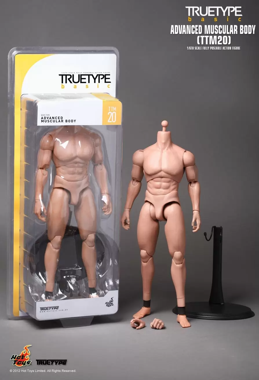 Other Hot Toys Series - Advanced Muscular Body