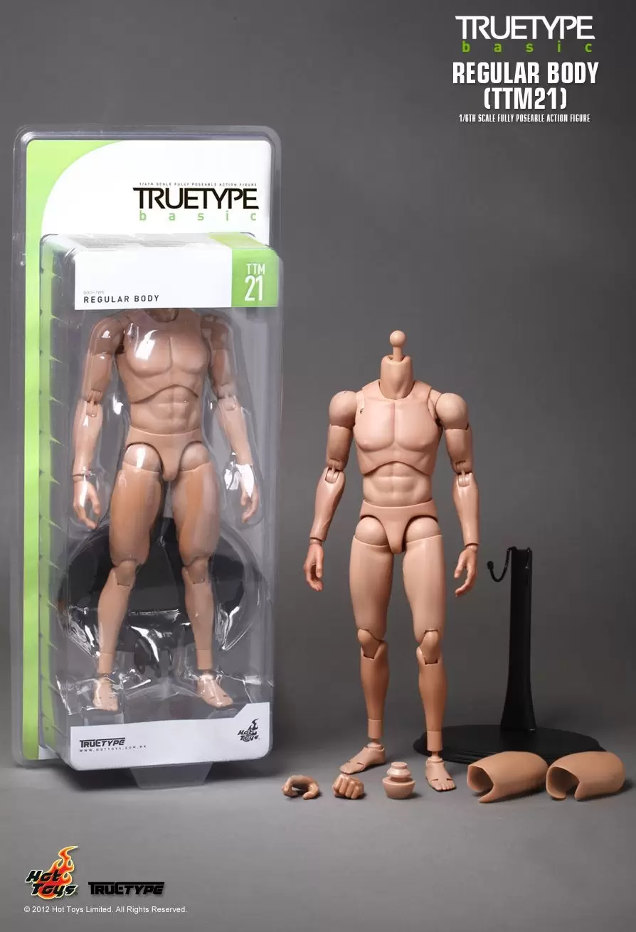 Other Hot Toys Series - Regular Body
