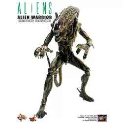 Alien Warrior (Repaint Version)