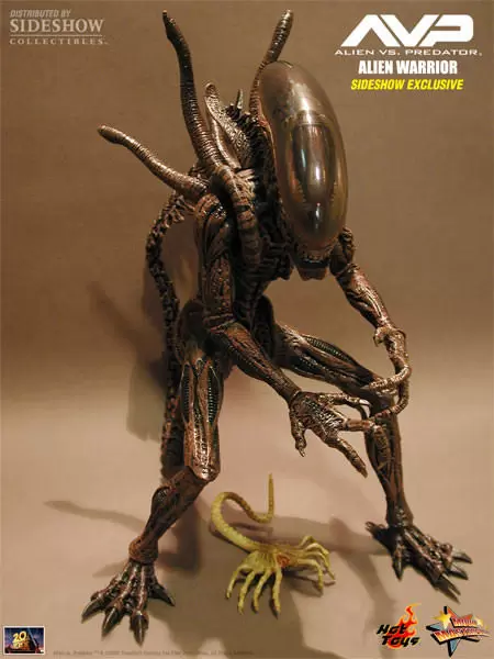 Movie Masterpiece Series - Alien Warrior Brown (Special Edition)