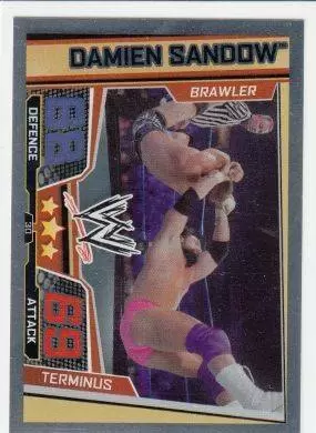 WWE Slam Attax Superstars Trading Cards - Damien Sandow