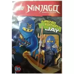 Jay minifigure