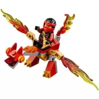 Kai's Mini Dragon