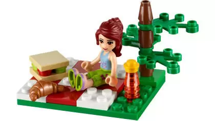 LEGO Friends - Summer Picnic