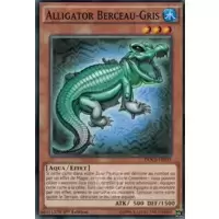 Alligator Berceau-Gris
