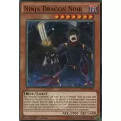 Ninja Dragon Noir