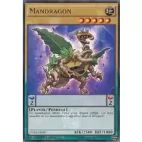 Mandragon