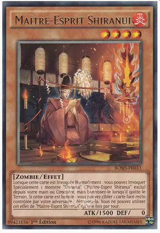 Les Destructeurs de l\'Ombre BOSH - Maître-Esprit Shiranui