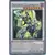 Les Destructeurs de l\'Ombre BOSH - Paladin de l\'Illumination