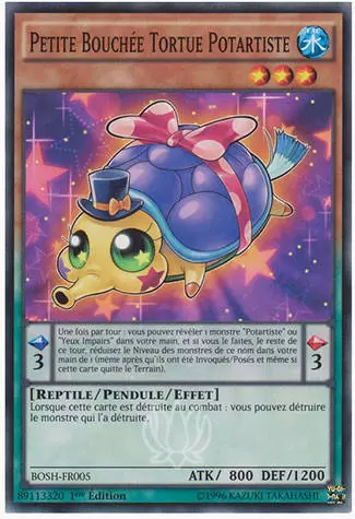Les Destructeurs de l\'Ombre BOSH - Petite Bouchée Tortue Potartiste