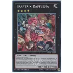 Traptrix Rafflesia