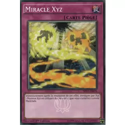 Miracle Xyz