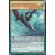 Les Nouveaux Challengers NECH - Lancephorhynchus