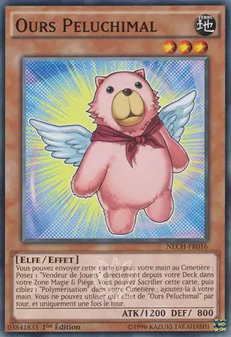 Les Nouveaux Challengers NECH - Ours Peluchimal