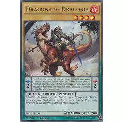 Dragons de Draconia