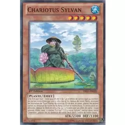 Chariotus Sylvan