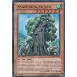 Sagequoia Sylvan
