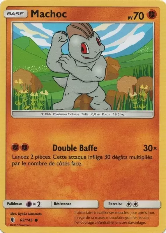 Gardiens Ascendants - Machop